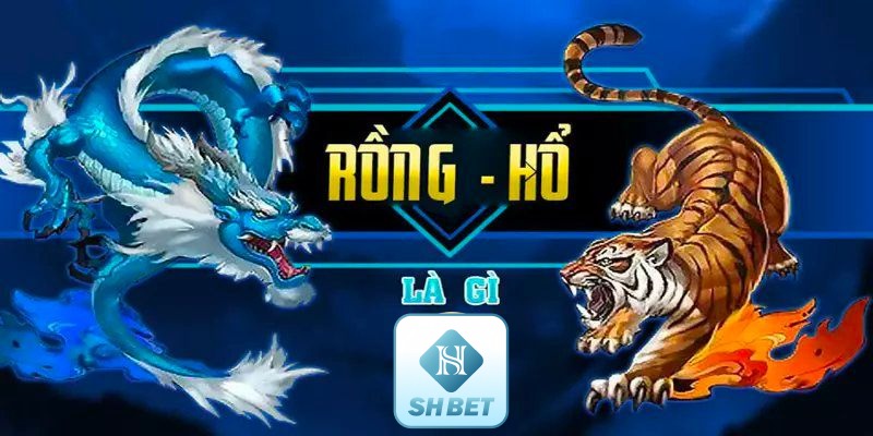 Tổng quan về luật chơi long hổ SHBET