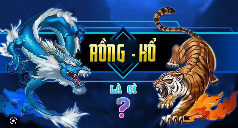 Hướng Dẫn Chơi Game Bài Long Hổ Cho Người Mới SHBET