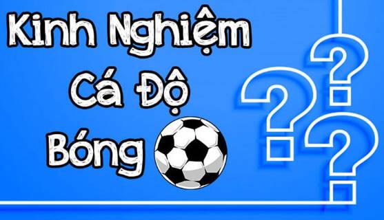 Kinh nghiệm cá cược bóng đá cho người mới bắt đầu